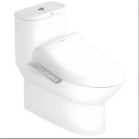 Bồn cầu điện tử American Standard WP-1880PL nắp rửa tự động