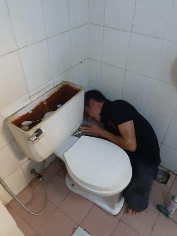 Dụng cụ chuyên dụng là cần thiết để đảm bảo việc thay thế chính xác.