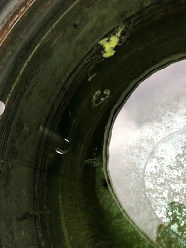 Cận cảnh thợ 1Fix kiểm tra phao cơ bên trong bồn nước, nguyên nhân chính gây tràn.