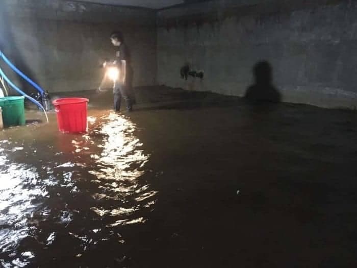 Bể nước bị đóng rêu xanh và cặn bẩn cần được làm sạch ngay lập tức.