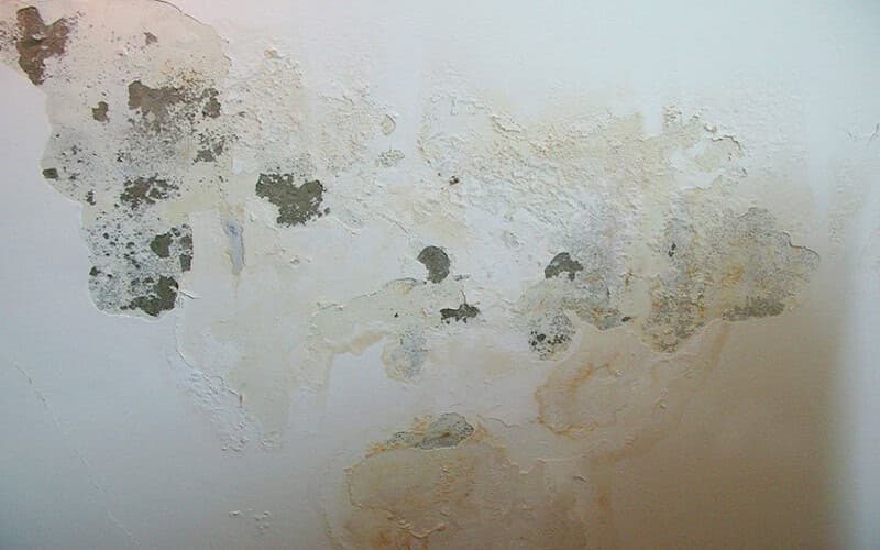 Tường nhà mới xây tại TPHCM đã có dấu hiệu thấm nước và ố vàng do không được chống thấm đúng cách