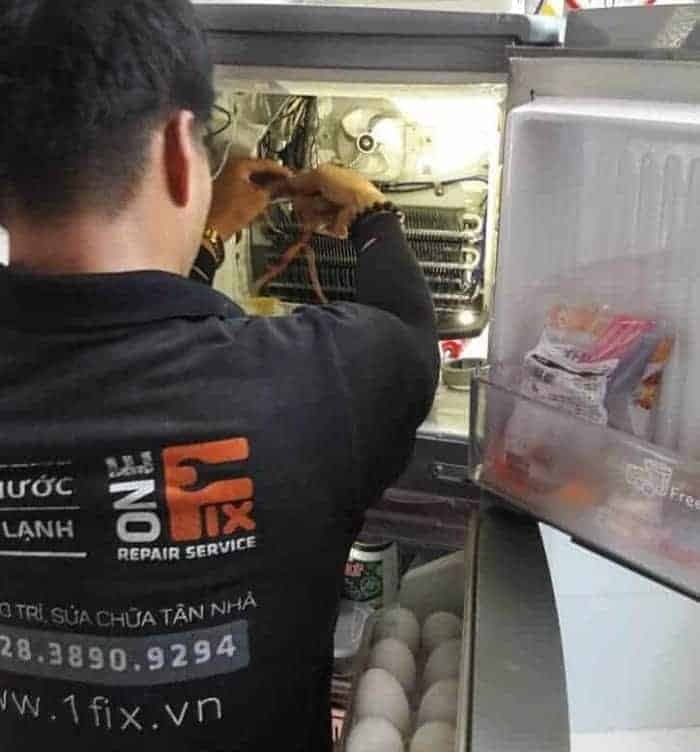 Dịch vụ thay dàn lạnh tủ lạnh tại nhà giá rẻ, minh bạch của 1Fix.vn