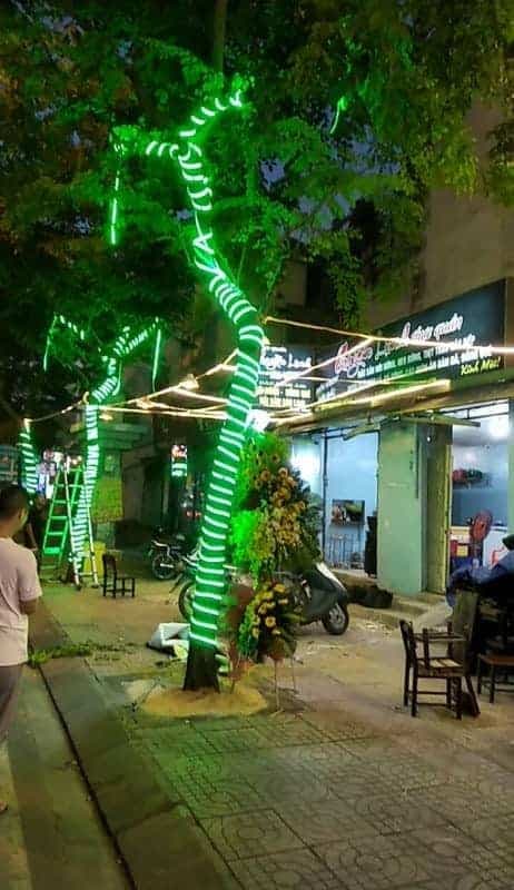 Đèn LED được thả rủ trang trí cây tạo hiệu ứng lung linh.