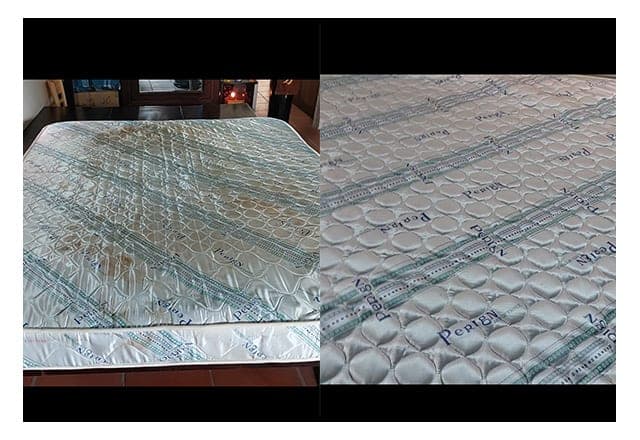 Kỹ thuật viên 1Fix đang xử lý chuyên sâu một vết bẩn cứng đầu trên nệm.