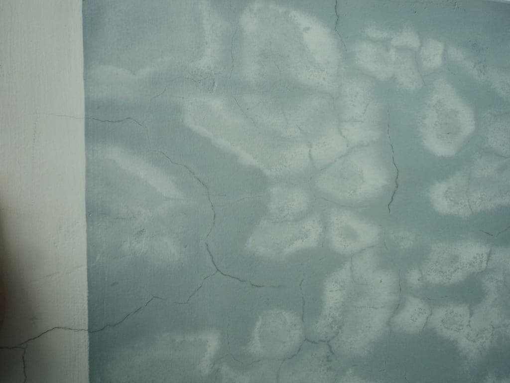 Tường phòng trọ bị loang màu, ẩm mốc cần được xử lý và sơn lại.