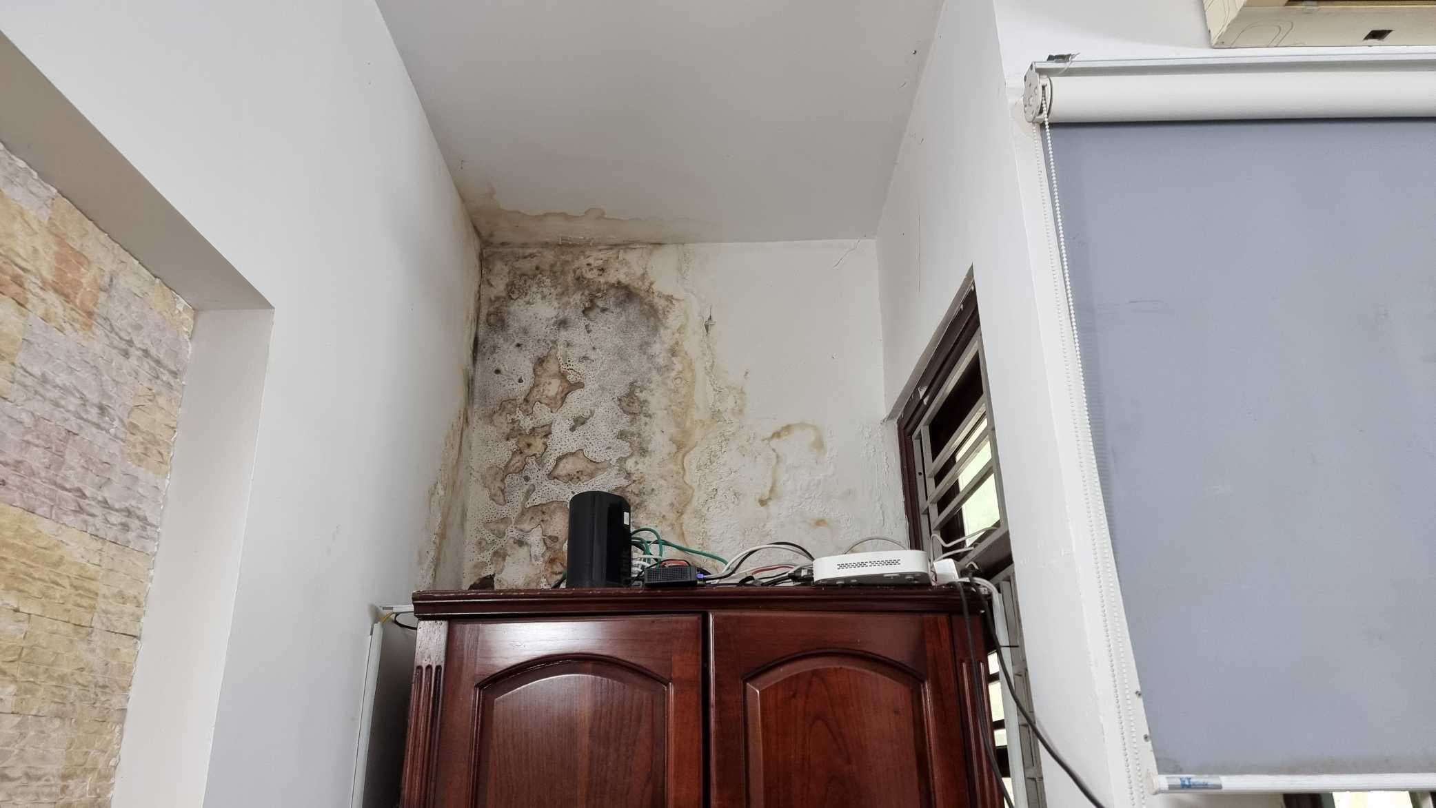 Một bức tường bị ẩm mốc nặng, sơn bong tróc và loang lổ.