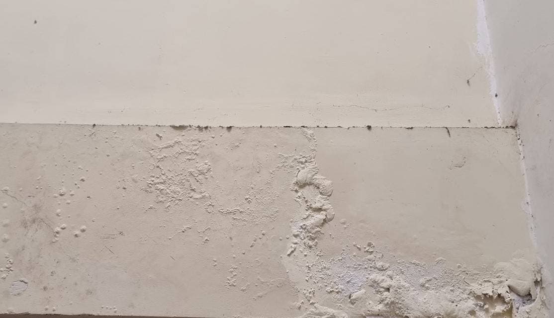 Thợ đang cạo lớp sơn tường cũ bị dộp và ẩm mốc để chuẩn bị bề mặt.