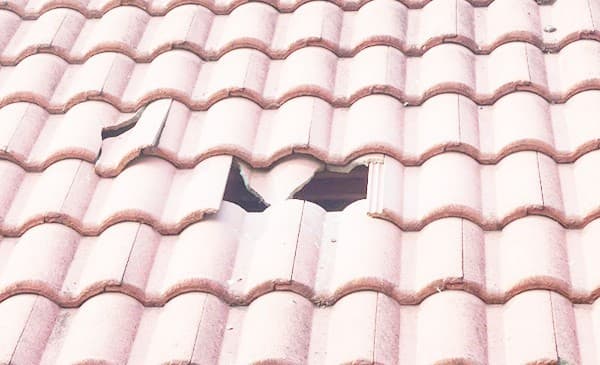 Ngói bị nứt vỡ do tác động của thời gian và thời tiết là nguyên nhân hàng đầu gây thấm dột.