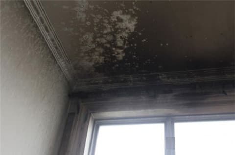 Cách Tẩy Khói Nhang Trên Tường Nhanh Chóng, Hiệu Quả