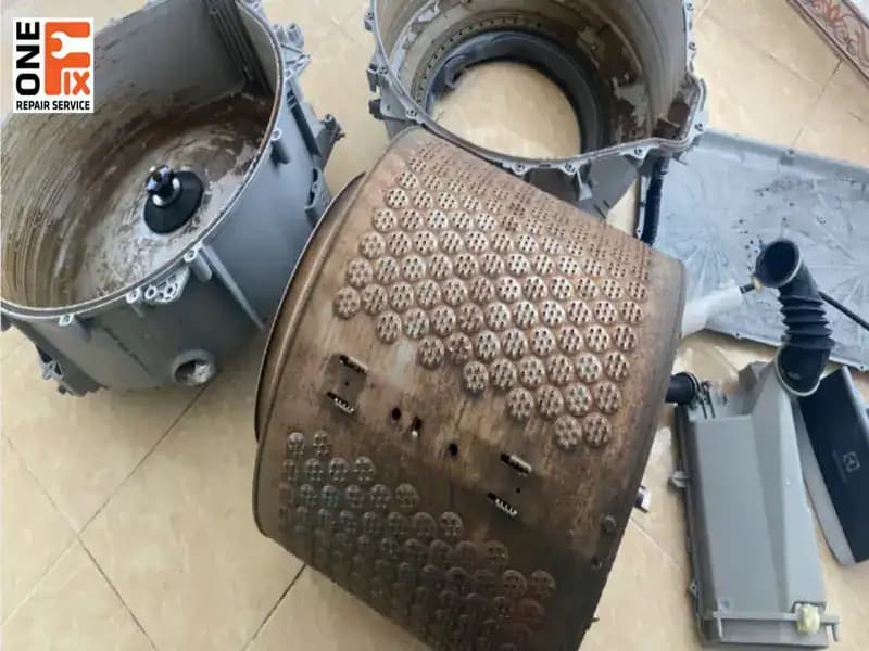 Bên trong lồng giặt Electrolux tích tụ nhiều cặn bẩn và nấm mốc sau thời gian dài sử dụng.