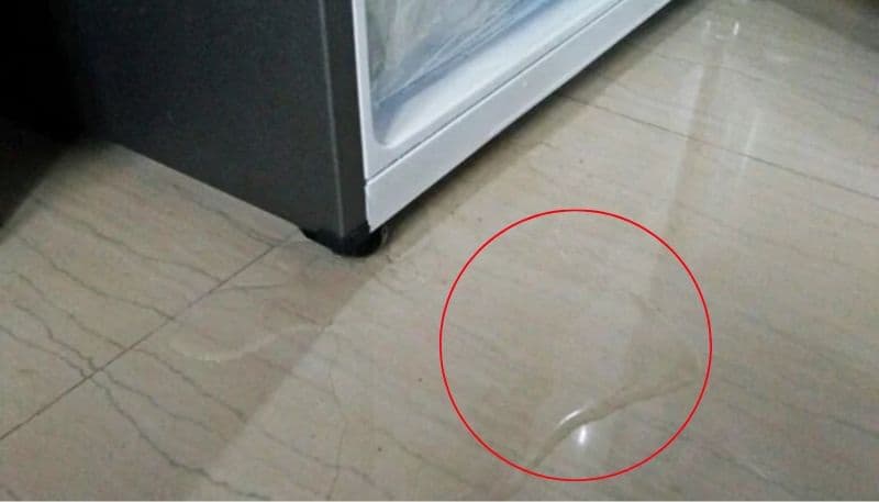 Kiểm tra bên trong ngăn mát để tìm nguyên nhân rò rỉ nước từ bên trong.