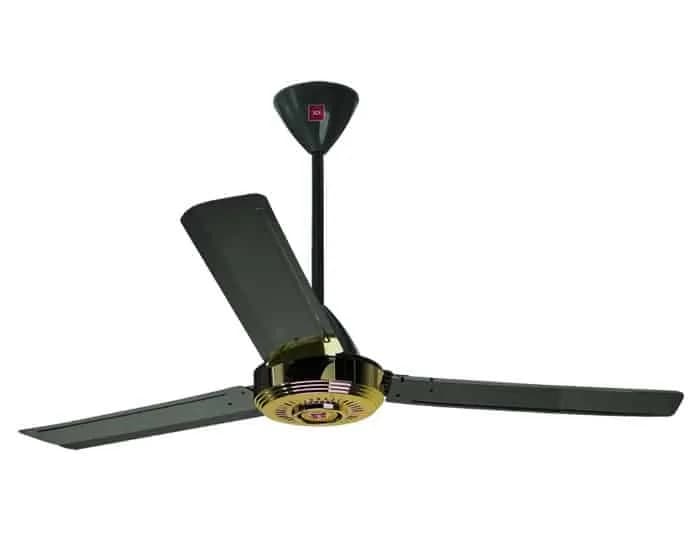 Quạt trần KDK N56YG (ti dài 30cm)