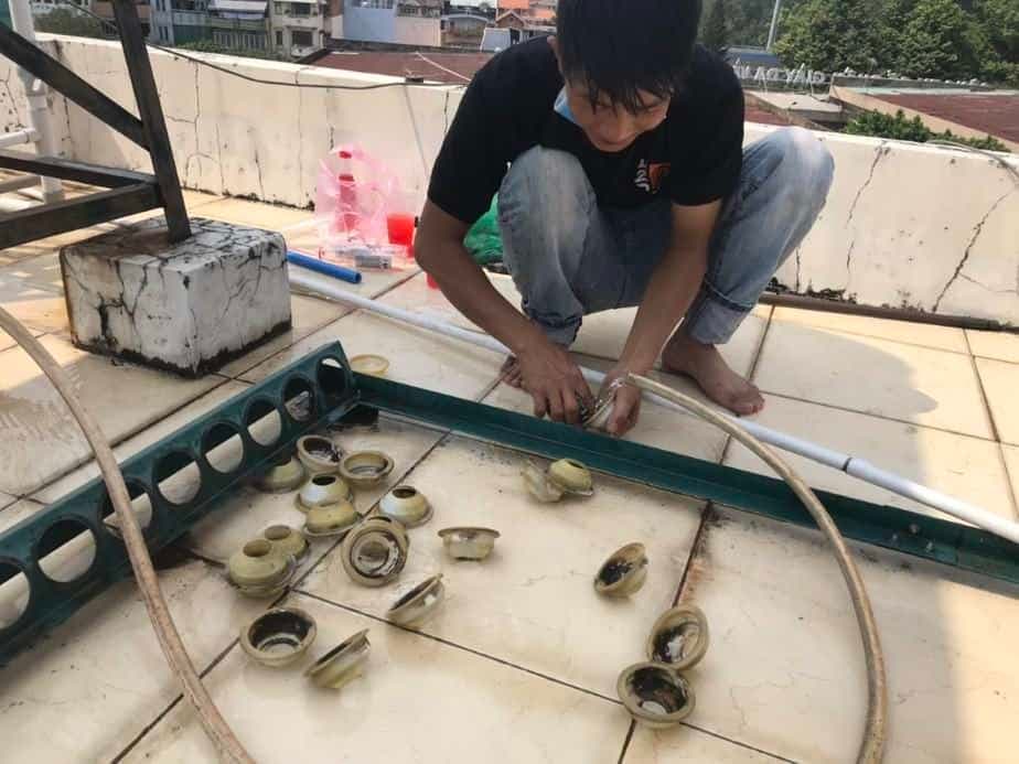 Vệ sinh định kỳ là cách tốt nhất để tăng tuổi thọ cho máy nước nóng năng lượng mặt trời.