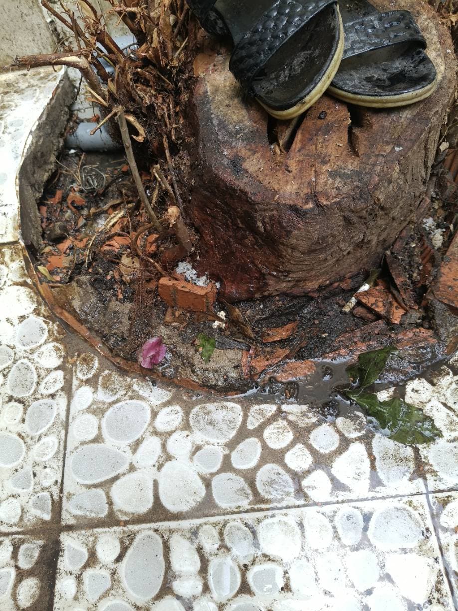 Trước sửa: Thay thế đường ống nước bị nứt rò rỉ tại Tân Bình tại Tân Bình — thợ Trần Ngọc Tùng